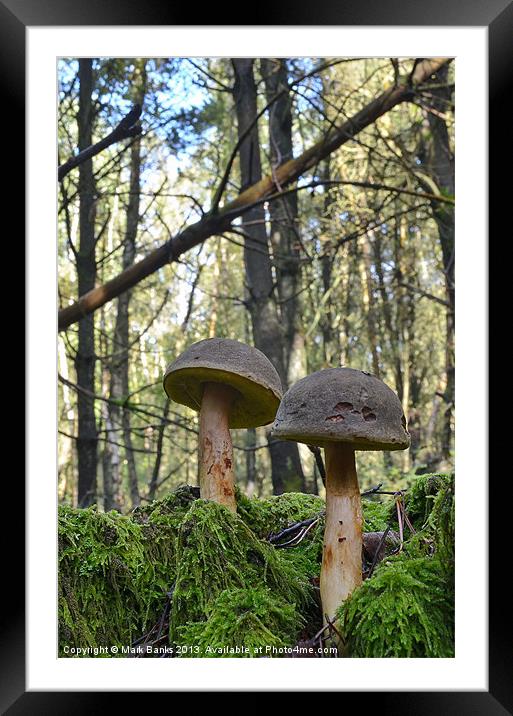 Mushroom Soldiers Framed Mounted Print by Mark  F Banks