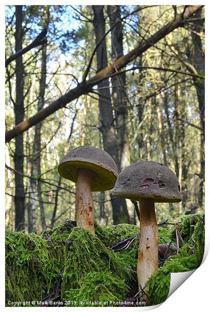 Mushroom Soldiers Print by Mark  F Banks