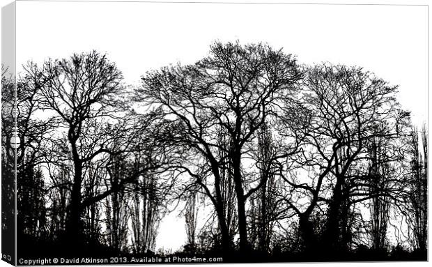 WINTER TREES Canvas Print by David Atkinson