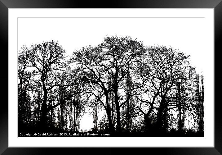 WINTER TREES Framed Mounted Print by David Atkinson