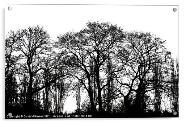 WINTER TREES Acrylic by David Atkinson