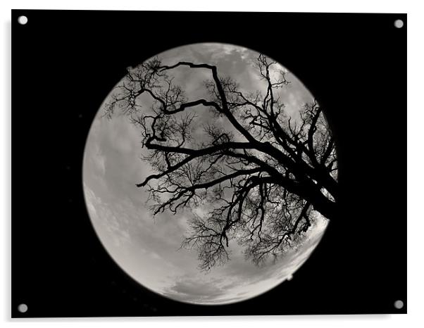 moon? Acrylic by Seth jones