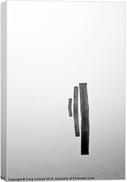 pillars in the mist Canvas Print by Craig Coleran