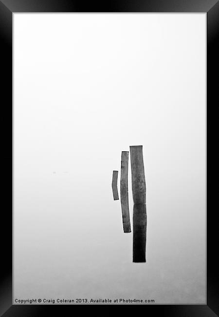 pillars in the mist Framed Print by Craig Coleran