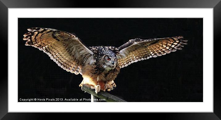 Eagle Owl Framed Mounted Print by Dave Burden