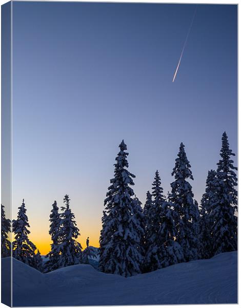 Evening Snowscape Canvas Print by Mark Llewellyn