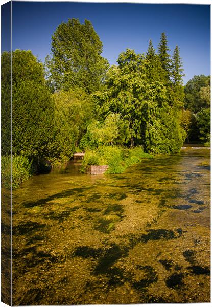 Sparkling Clear River Canvas Print by Mark Llewellyn