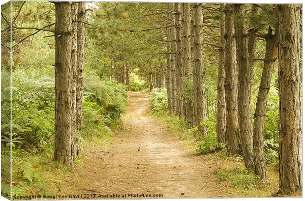 The path in the forest Canvas Print by Giorgi Kevlishvili
