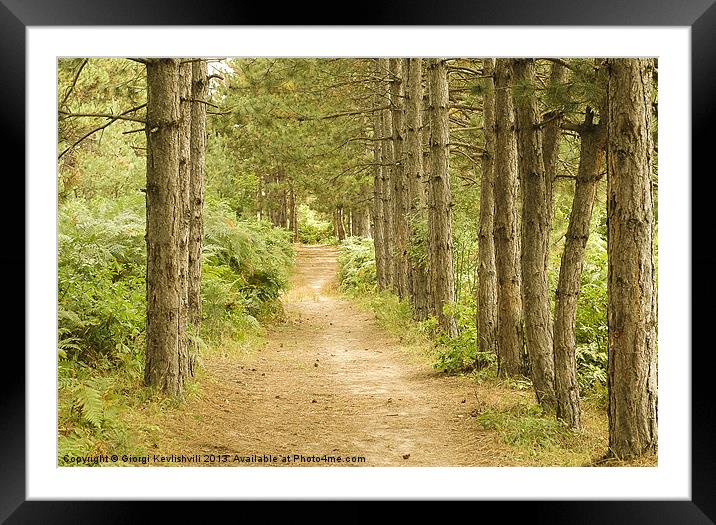 The path in the forest Framed Mounted Print by Giorgi Kevlishvili