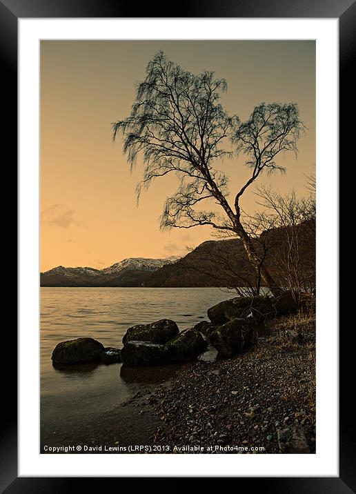 Ullswater Tree - Evening Light Framed Mounted Print by David Lewins (LRPS)