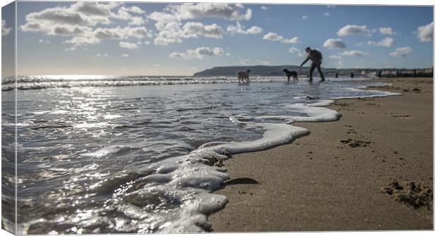 Dogs at play in the Surf Canvas Print by Ian Johnston  LRPS