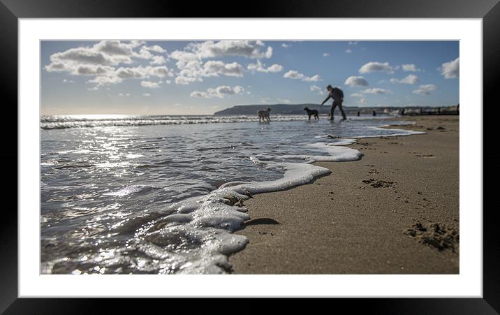 Dogs at play in the Surf Framed Mounted Print by Ian Johnston  LRPS