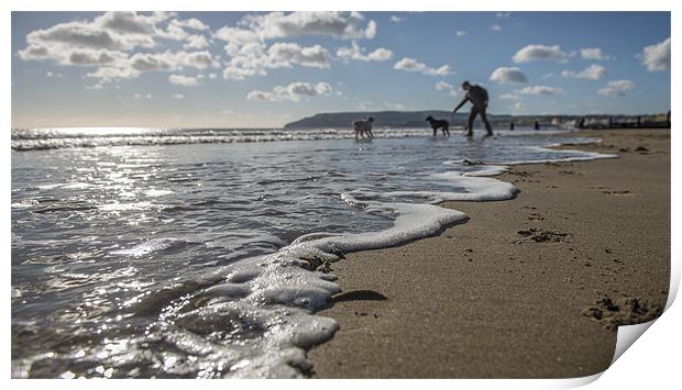 Dogs at play in the Surf Print by Ian Johnston  LRPS