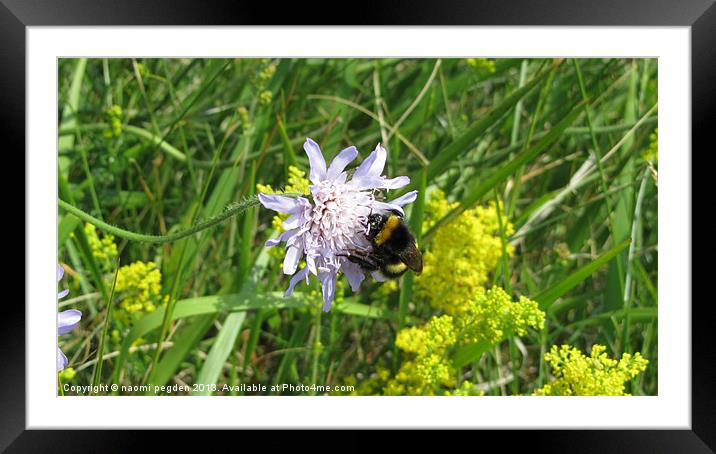 Busy At Work Framed Mounted Print by N C Photography