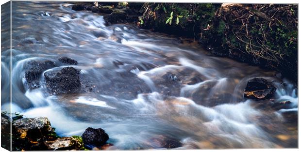 Flowing waters Canvas Print by Simon West