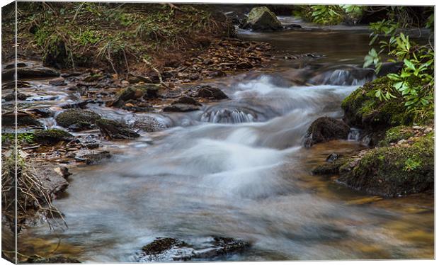 Flowing Waters Canvas Print by Simon West