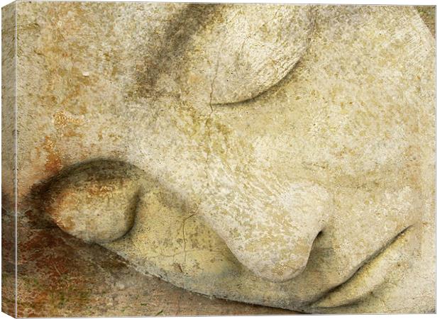 sweet repose Canvas Print by Heather Newton
