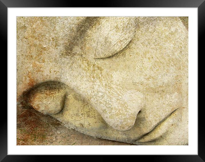 sweet repose Framed Mounted Print by Heather Newton