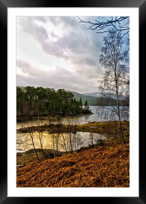 Lonely Loch Framed Mounted Print by Jacqi Elmslie