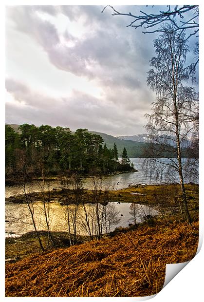 Lonely Loch Print by Jacqi Elmslie