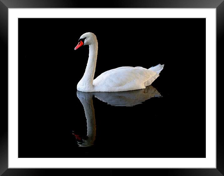 On Reflection Framed Mounted Print by Dave Burden