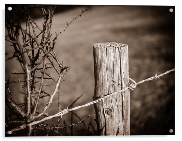 Fence Post Acrylic by Mark Llewellyn