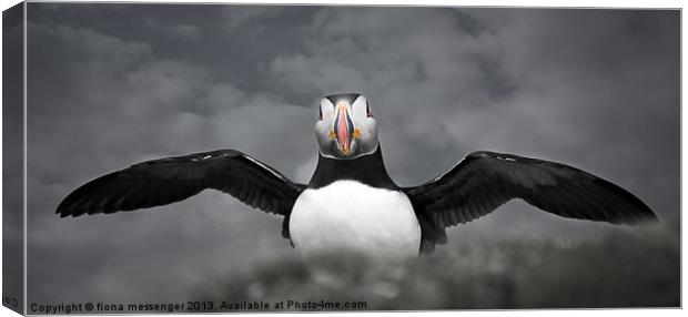 It was THIS BIG! Canvas Print by Fiona Messenger