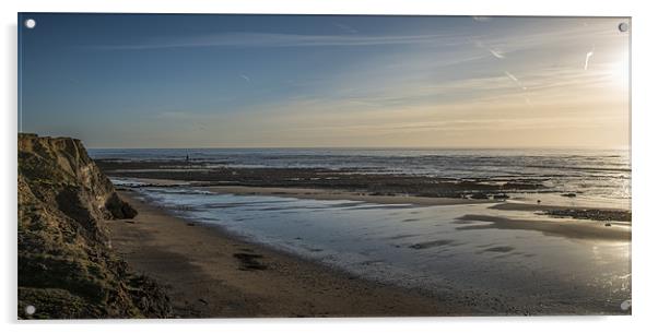 Low tide shoreline Acrylic by Ian Johnston  LRPS