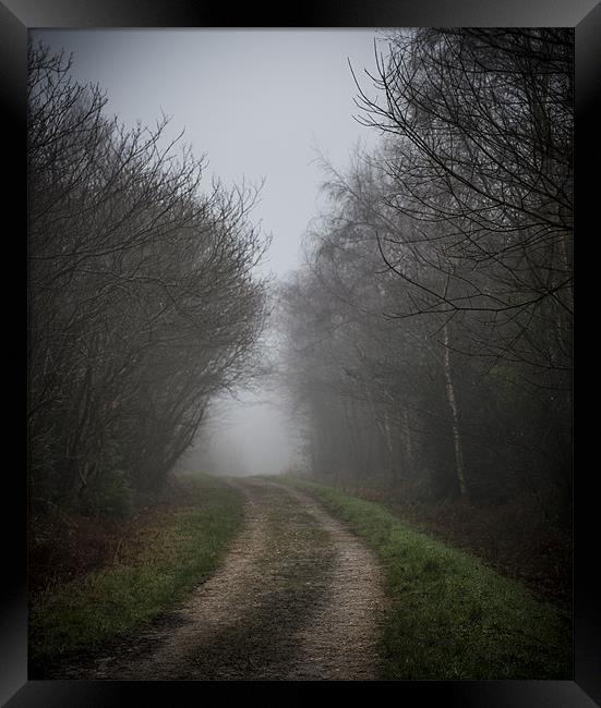 Foggy morning road Framed Print by Ian Johnston  LRPS