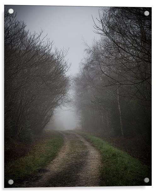 Foggy morning road Acrylic by Ian Johnston  LRPS