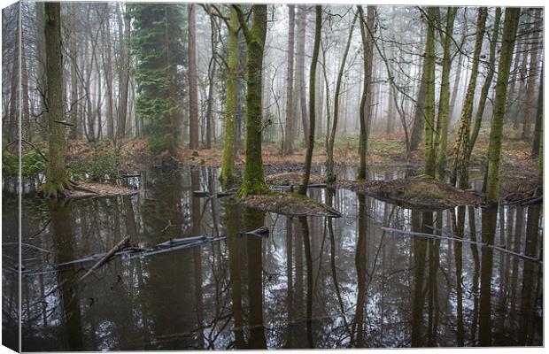 Black Forest Pond Canvas Print by Ian Johnston  LRPS