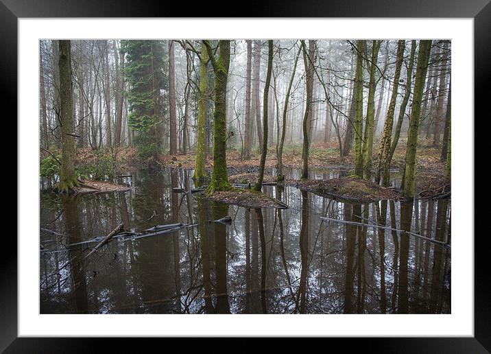 Black Forest Pond Framed Mounted Print by Ian Johnston  LRPS