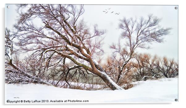 Go Softly Into Winter Acrylic by Betty LaRue