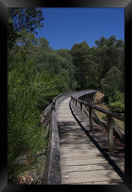 Noojee Trestle Bridge Framed Print by Graham Palmer