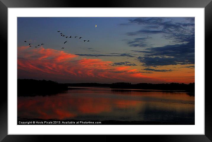 Flying Home Framed Mounted Print by Dave Burden