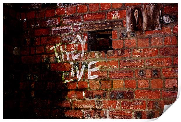 Graffiti old bricks Print by jane dickie