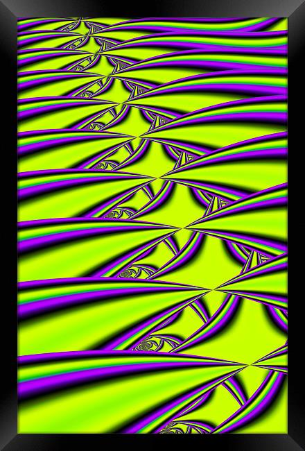 Lime and Purple Framed Print by iphone Heaven