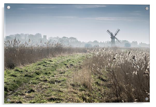 Thurne Mill ahead Acrylic by Stephen Mole