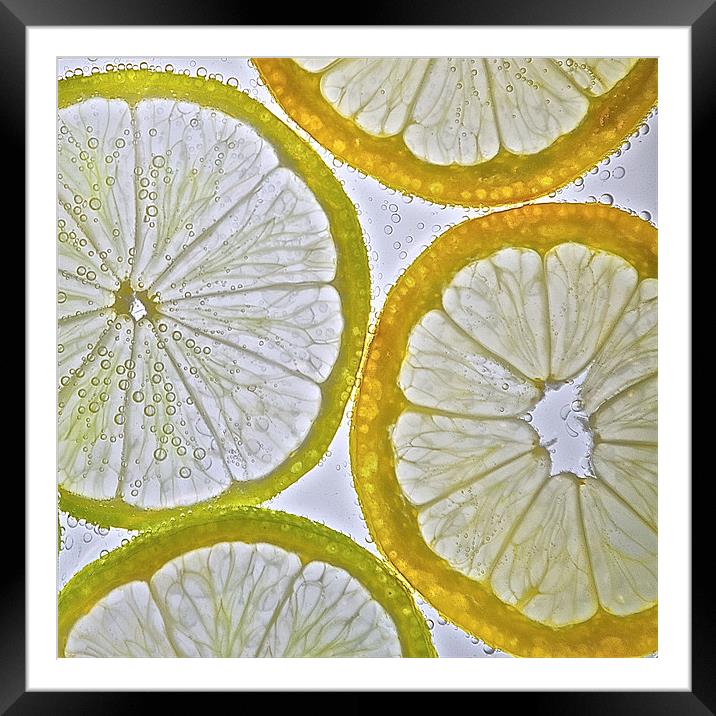 Lemon and Lime Framed Mounted Print by Ian Johnston  LRPS