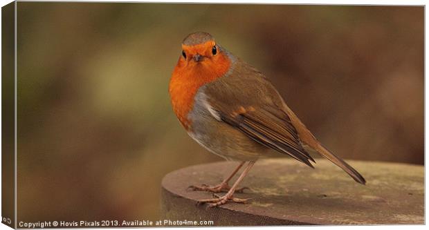 Watch The Birdie Canvas Print by Dave Burden