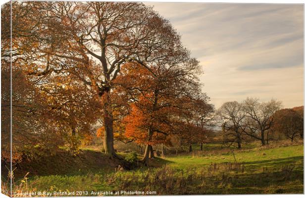 Autumn in Great Lumley Canvas Print by Ray Pritchard