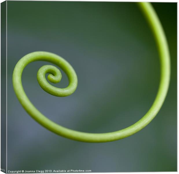 Green Curl Canvas Print by Joanna Clegg