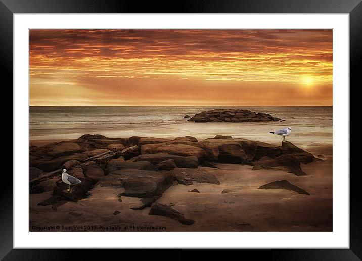 SEAGULLS AT THE BEACH Framed Mounted Print by Tom York