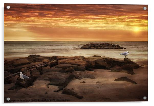 SEAGULLS AT THE BEACH Acrylic by Tom York