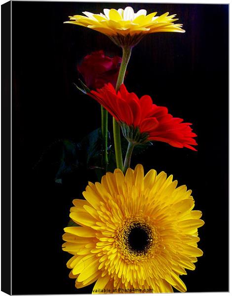 multicolor flowers Canvas Print by elvira ladocki