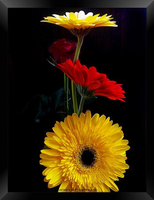 multicolor flowers Framed Print by elvira ladocki
