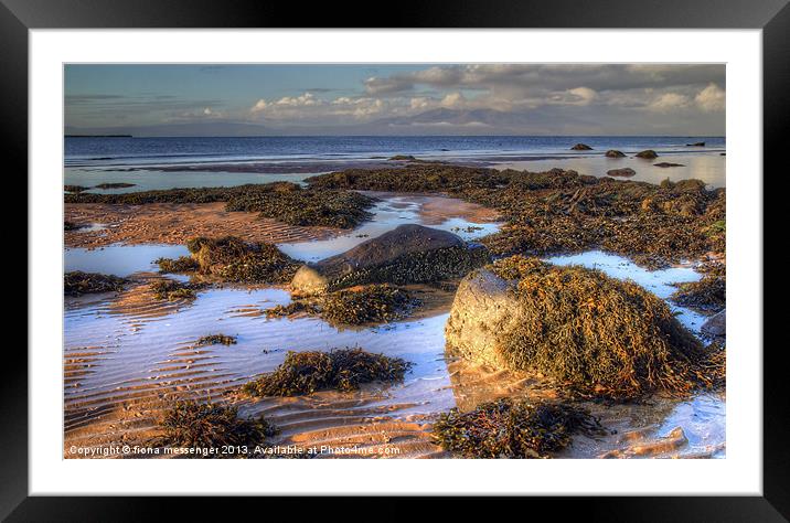 Ardrossan Morning Framed Mounted Print by Fiona Messenger