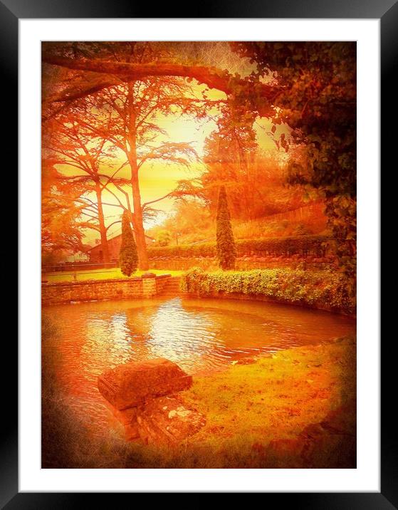 The Quiet Fish Pool. Framed Mounted Print by Heather Goodwin