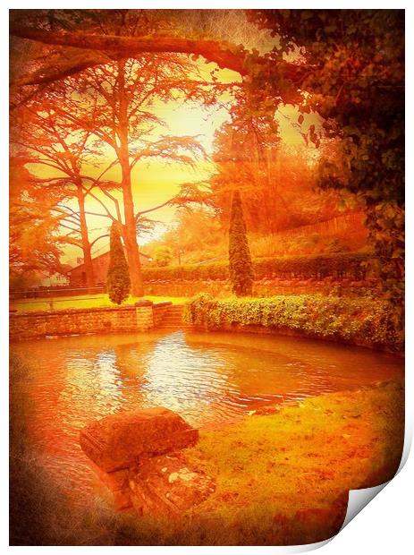 The Quiet Fish Pool. Print by Heather Goodwin