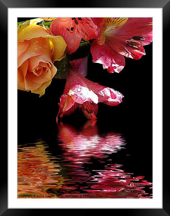 flowers with the reflections Framed Mounted Print by elvira ladocki